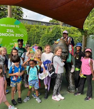 IMG-20240923-WA0020-1200x900