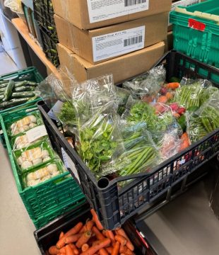 IMG-20241014-WA0001-800x1070