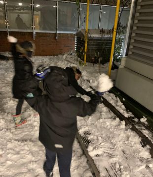 d3470763-2ff4-491f-878b-726d27d49556